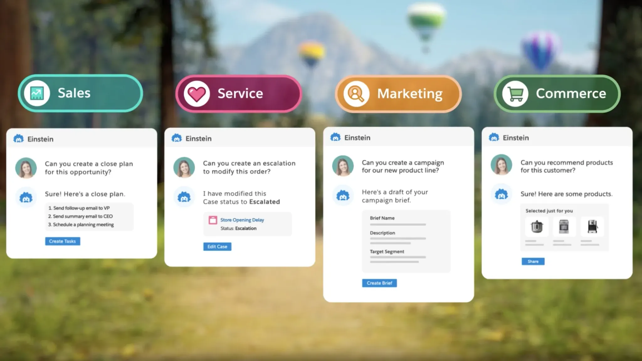 CRM features